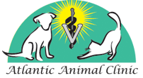 Your Pompano Beach, Florida Veterinarian Atlantic Animal Clinic